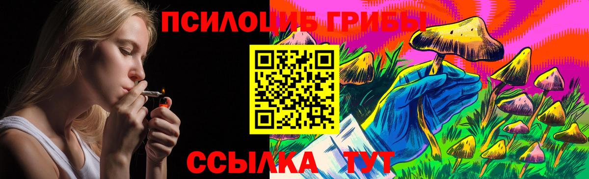 Кимовск  Псилоцибиновые грибы мицелий  Псилоцибиновые грибы Psilocybine cubensis  Вход с VPN 